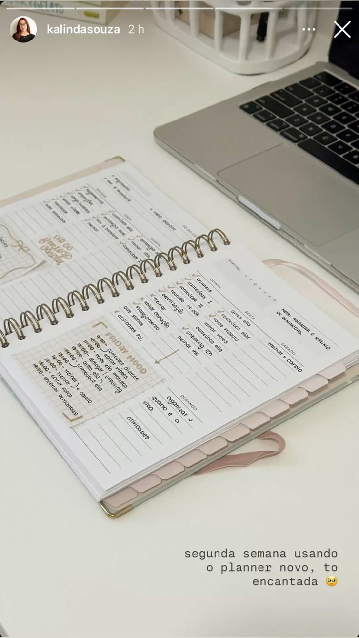 micro habits planner aesthetic