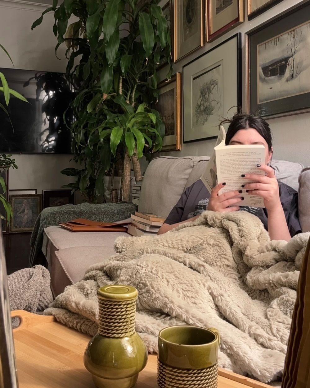 Person relaxing on a cozy couch under a blanket, reading a book in a living room with indoor plants and wall art decor.
