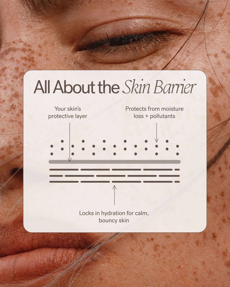 barrier repair cream skincare flat lay
