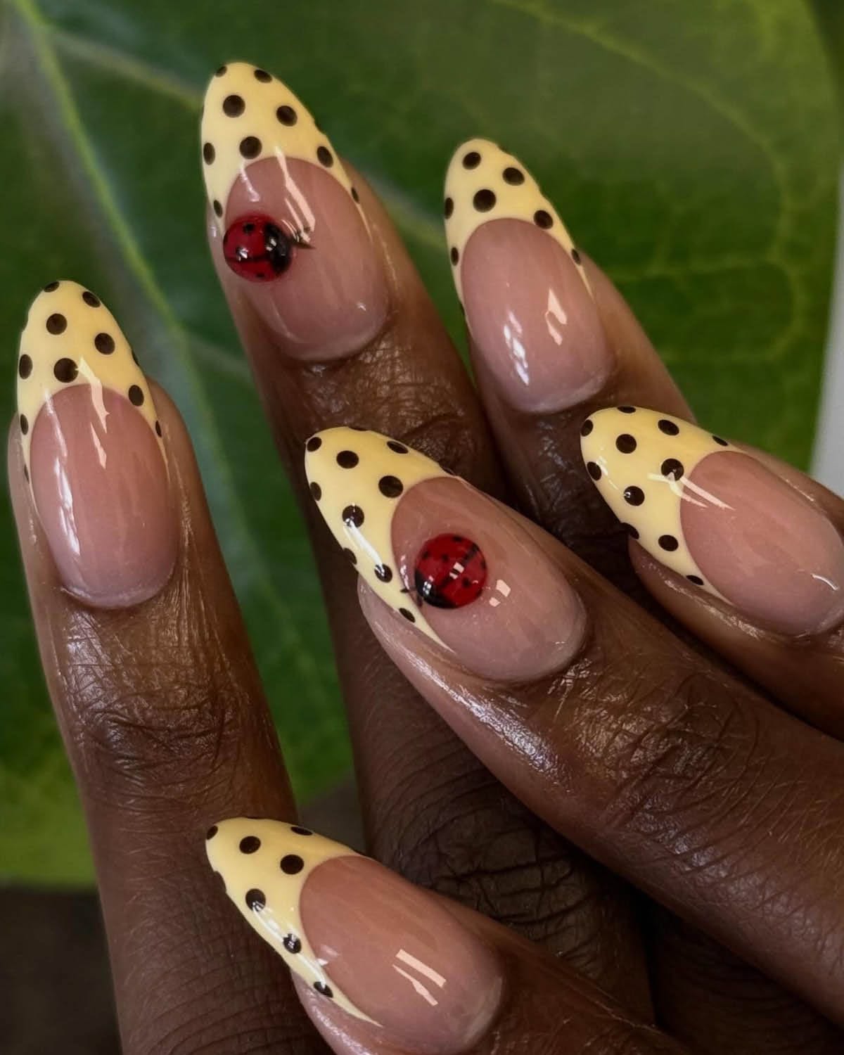 butter yellow polka dot nails with ladybug accent on almond shape